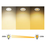 Graphite Grey CCT Dim To Warm Fire Rated LED Dimmable 10W IP65 Downlight - SE Home