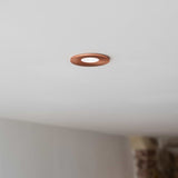 Rose Gold CCT Dim To Warm Fire Rated LED Dimmable 10W IP65 Downlight - SE Home