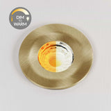 Brushed Brass CCT Dim To Warm Fire Rated LED Dimmable 10W IP65 Downlight - SE Home