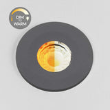 Graphite Grey CCT Dim To Warm Fire Rated LED Dimmable 10W IP65 Downlight - SE Home