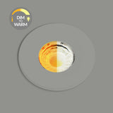 Primed Paintable CCT Dim To Warm Fire Rated LED Dimmable 10W IP65 Downlight - SE Home