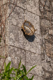 Carlisle Grid Prismatic Glass Lacquered Brass IP66 Bulkhead Wall Light - The Outdoor & Bathroom Collection - SE Home