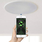 Lithe Audio 6.5" IP44 Waterproof Wireless Bluetooth Ceiling Speaker (BATHROOM PAIR - MASTER & SLAVE) - SE Home