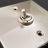 Satin Chrome - White Inserts Satin Chrome 13A Fused Ingot Connection Unit Switched With Neon - White Trim