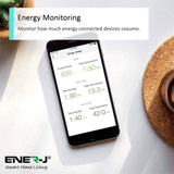 Smart Switches & Sockets Smart WiFi Plug Adaptor with Energy Monitor