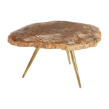 Relic Petrified Wood Coffee Table - SE Home