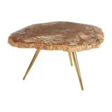 Coffee Tables Relic Petrified Wood Coffee Table