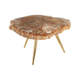 Relic Petrified Wood Coffee Table - SE Home