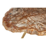 Relic Petrified Wood Coffee Table - SE Home