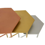 Rabia Nest Of 3 Hexagonal Side Table - SE Home