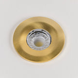 LED Downlights Brushed Brass CCT Fire Rated LED Dimmable 10W IP65 Downlight