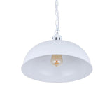 Berwick Rustic Dome Pendant Light Pure White - SE Home