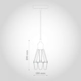 Pendant Lights Denman Industrial Black Caged Teardrop Pendant Light