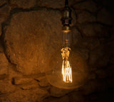 LARGE 4W E27 ES Vintage Edison ER180 LED Light Bulb 1800K N-Shape Filament High CRI Dimmable - SE Home