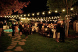 Festoon Carnival String Lights 48ft (14.6 metres) IP65 for Outdoor use - SE Home